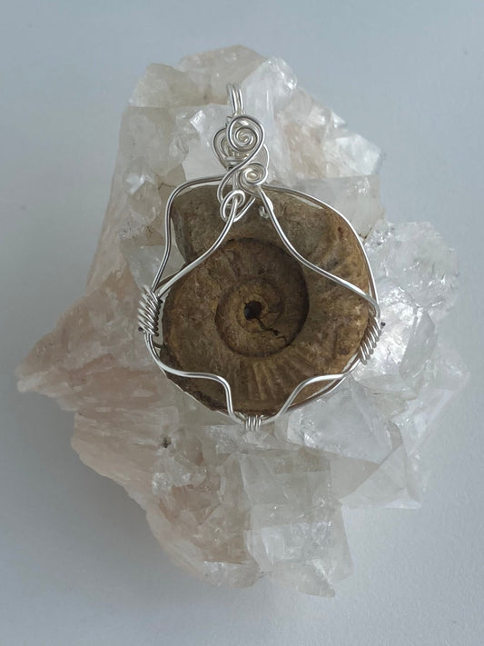 Ammonite Pendant – Acceptance, Meditation & Life Cycles