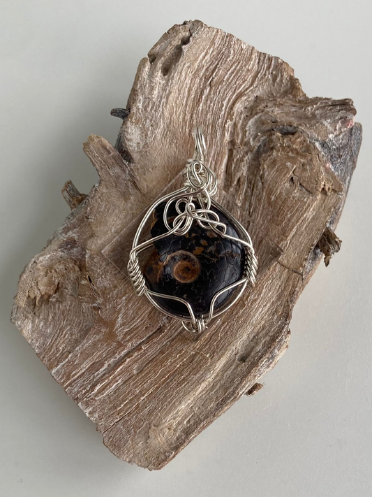 Ammonite Pendant – Acceptance, Meditation & Life Cycles