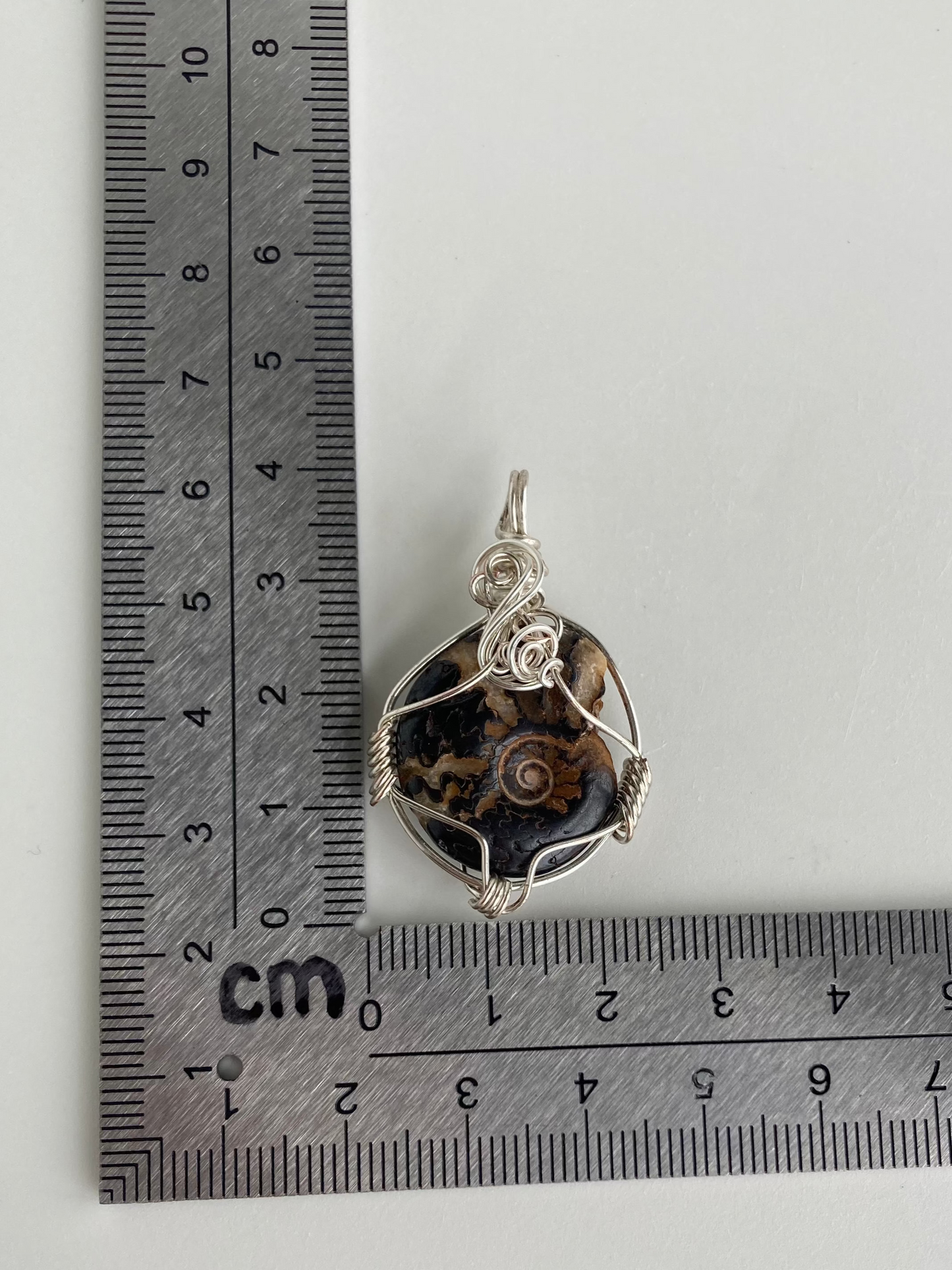 Ammonite Pendant – Acceptance, Meditation & Life Cycles