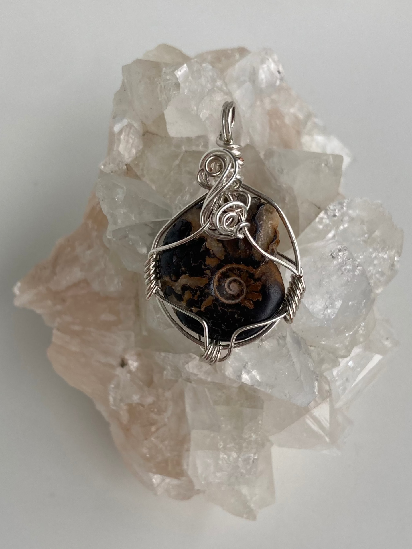 Ammonite Pendant – Acceptance, Meditation & Life Cycles