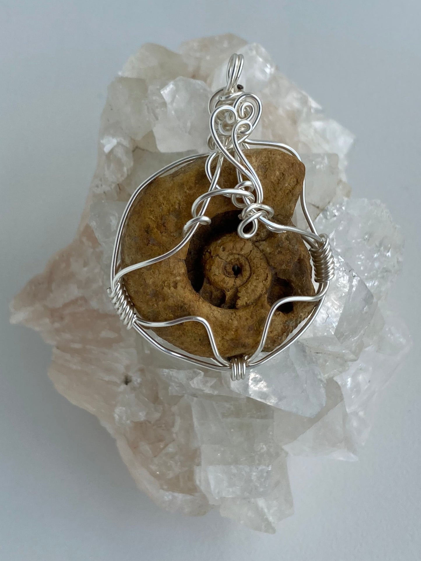 Ammonite Pendant – Acceptance, Meditation & Life Cycles