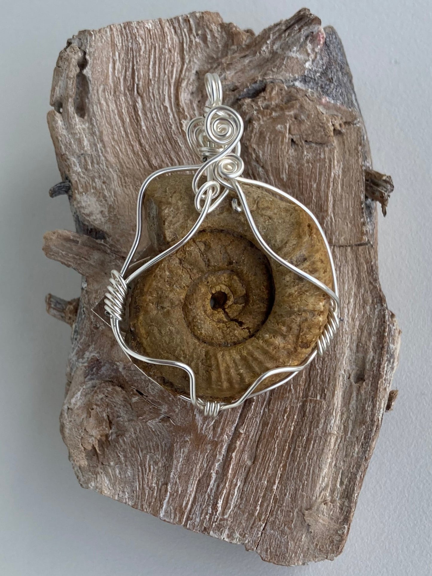 Ammonite Pendant – Acceptance, Meditation & Life Cycles