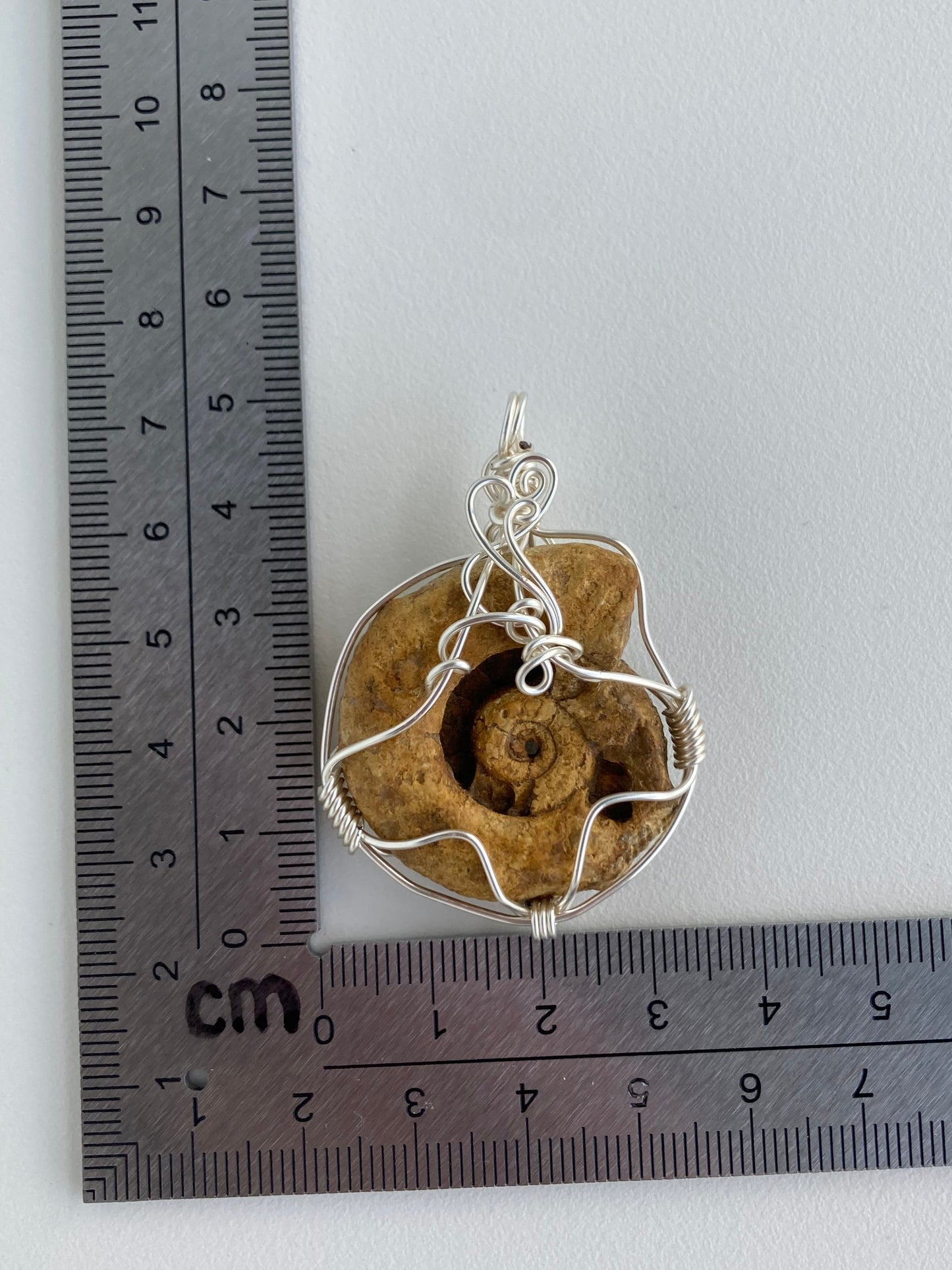 Ammonite Pendant – Acceptance, Meditation & Life Cycles