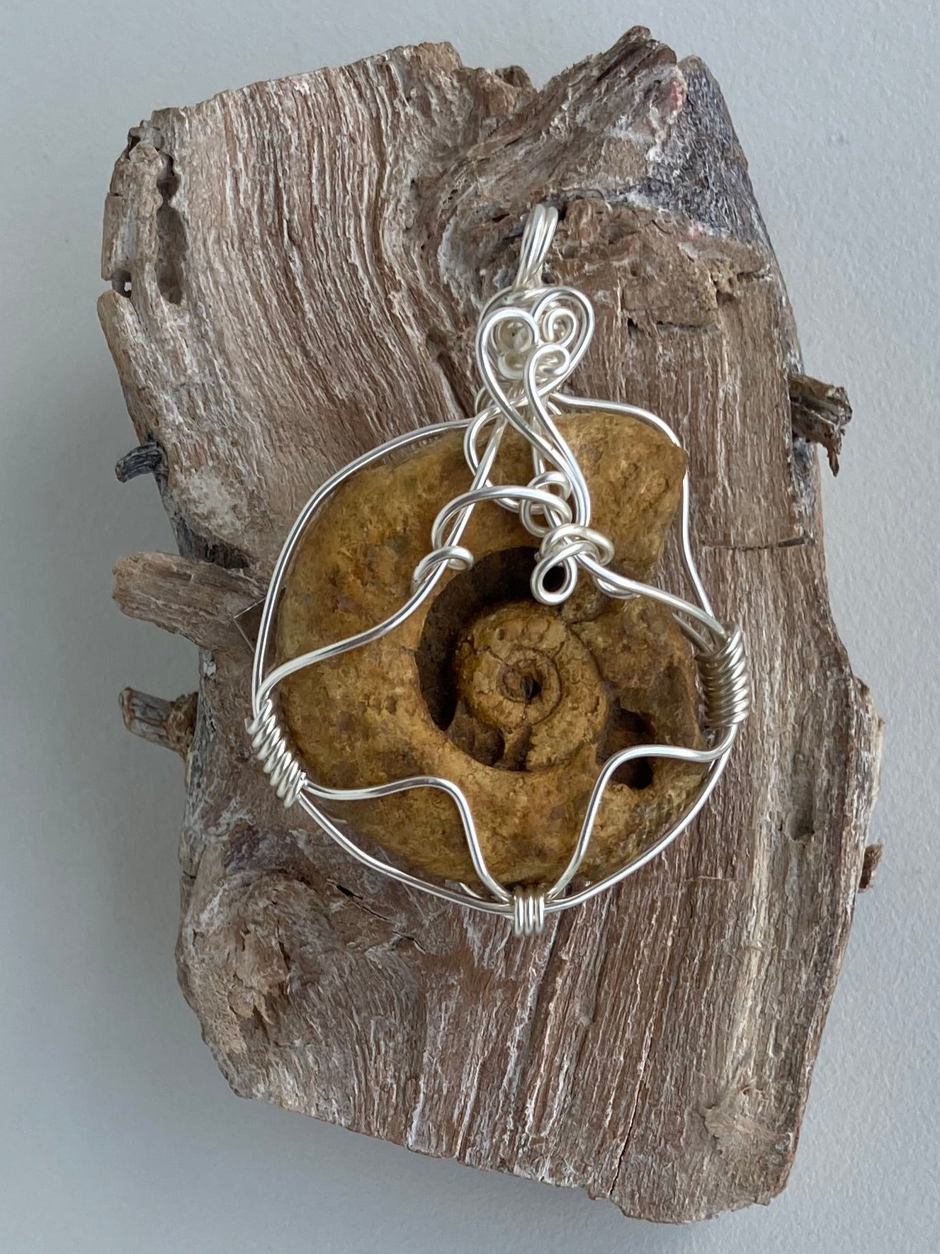 Ammonite Pendant – Acceptance, Meditation & Life Cycles