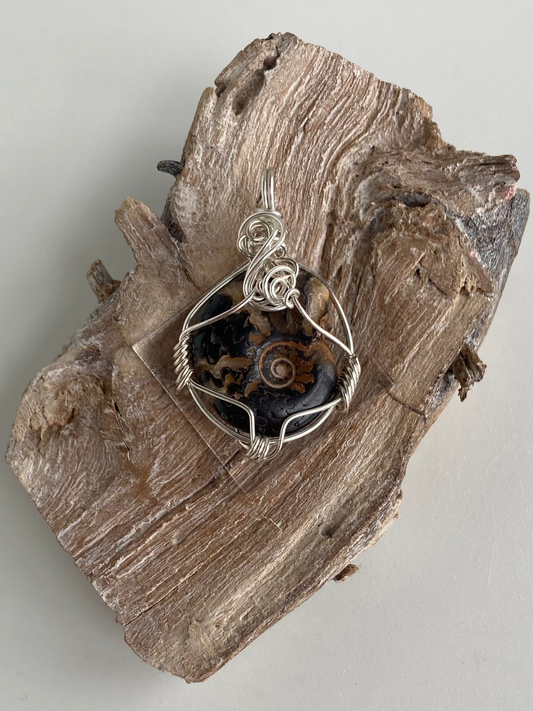 Ammonite Pendant – Acceptance, Meditation & Life Cycles