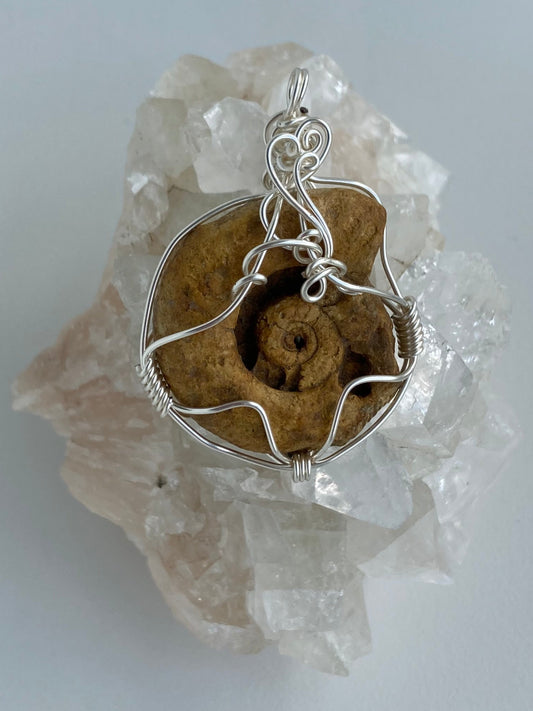 Ammonite Pendant – Acceptance, Meditation & Life Cycles