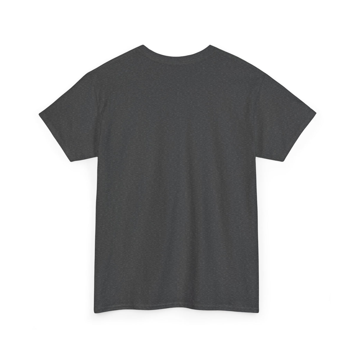 Back view of a dark heather grey t-shirt shown on a plain white background.